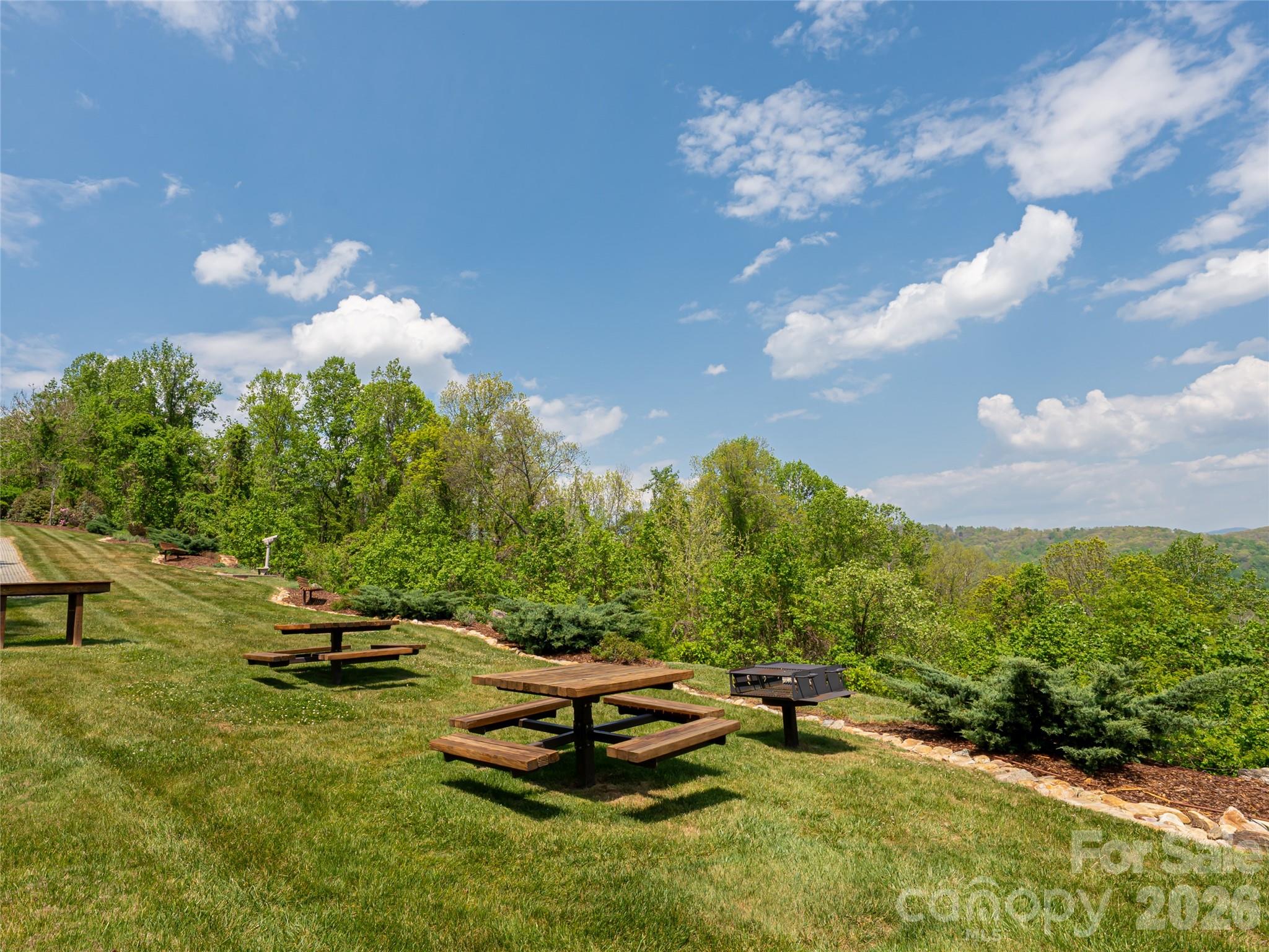 Poplar Ridge - Land