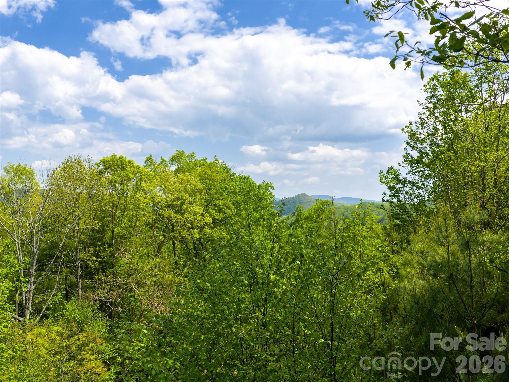 Poplar Ridge - Land
