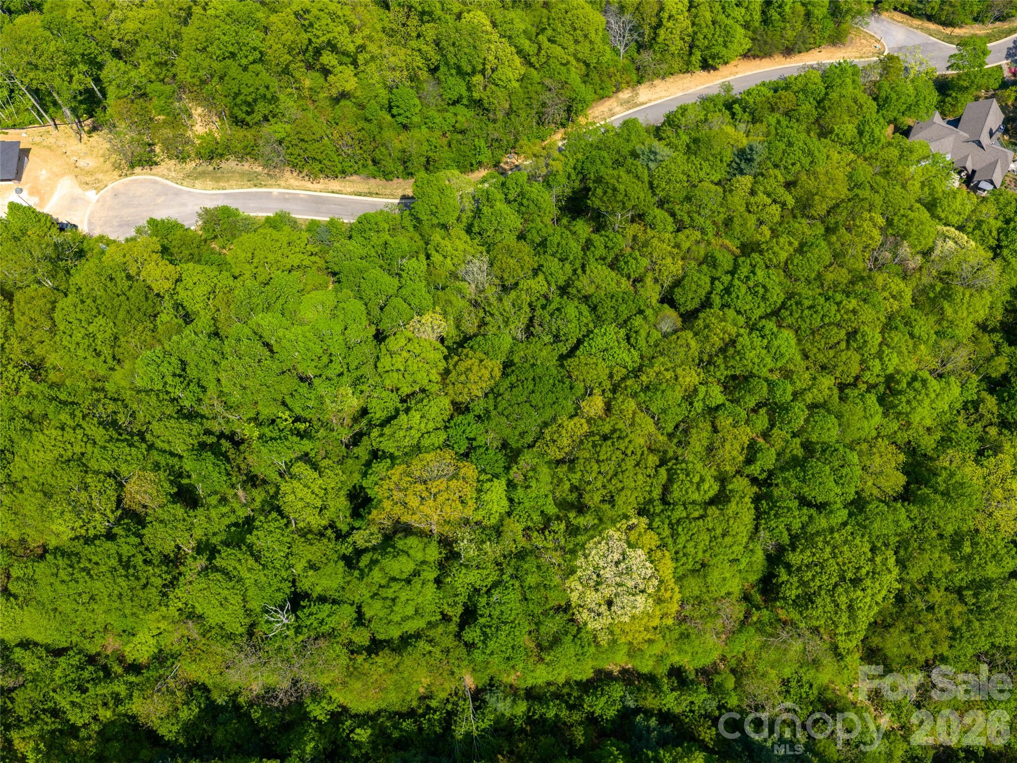 Poplar Ridge - Land