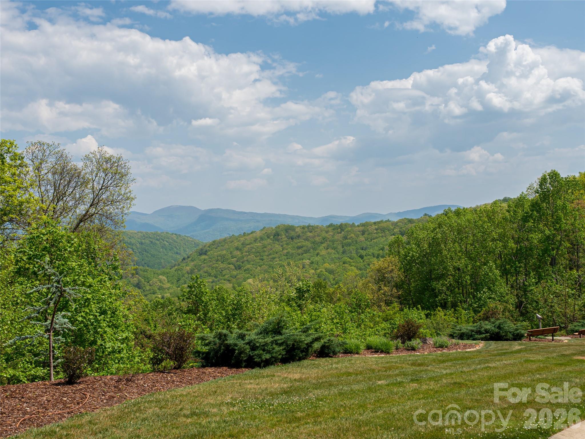 Poplar Ridge - Land