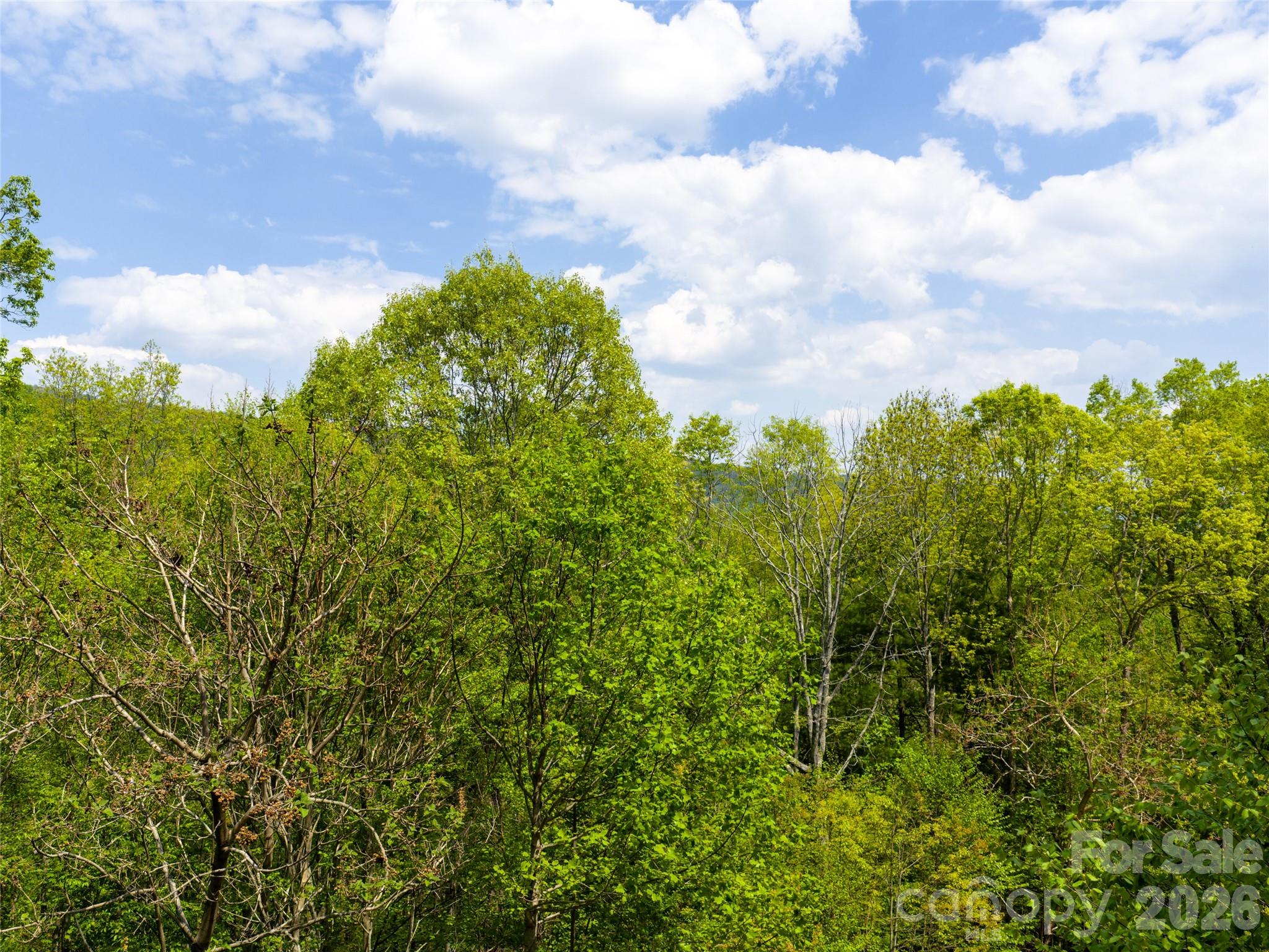 Poplar Ridge - Land
