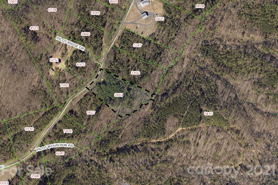 316 Pilot Ridge Road 11