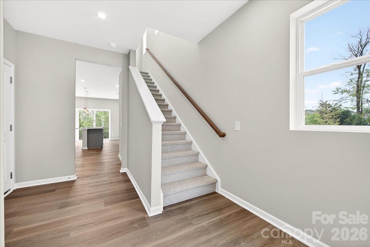 Fifteen 15 Cannon - Residential