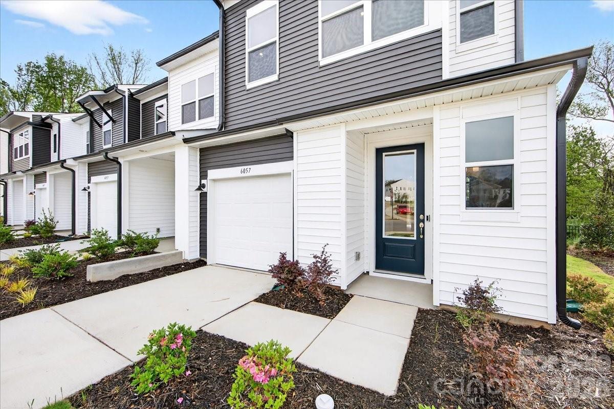 Fifteen 15 Cannon - Residential