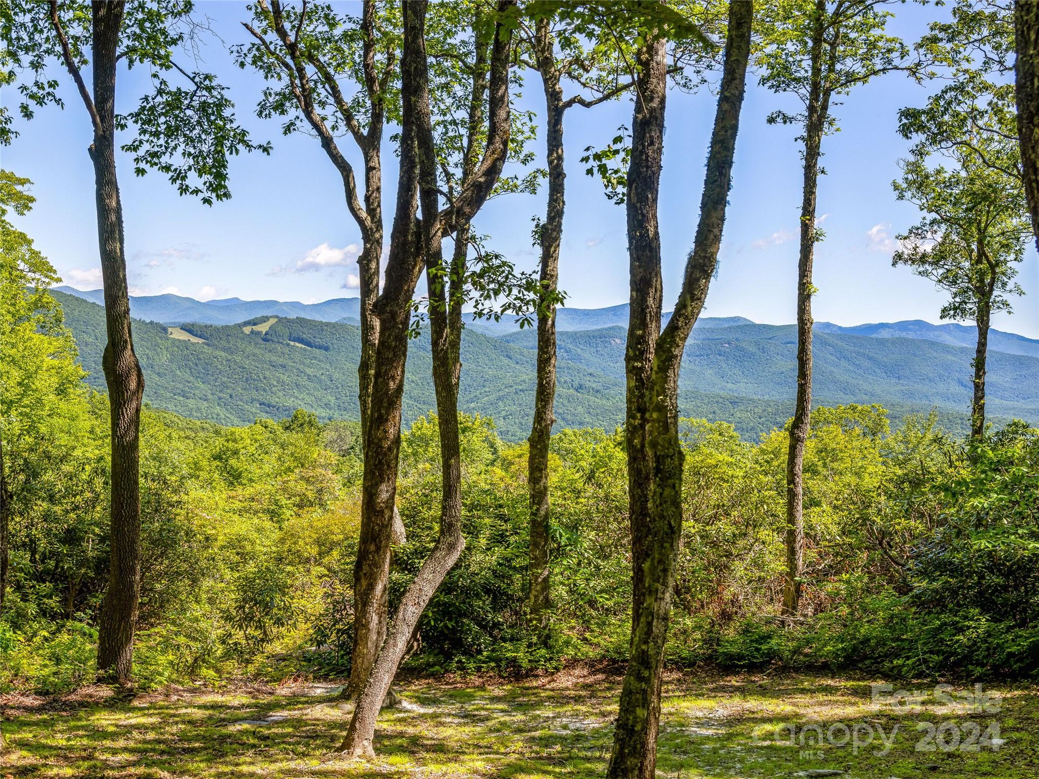 Lake Toxaway Estates - Land