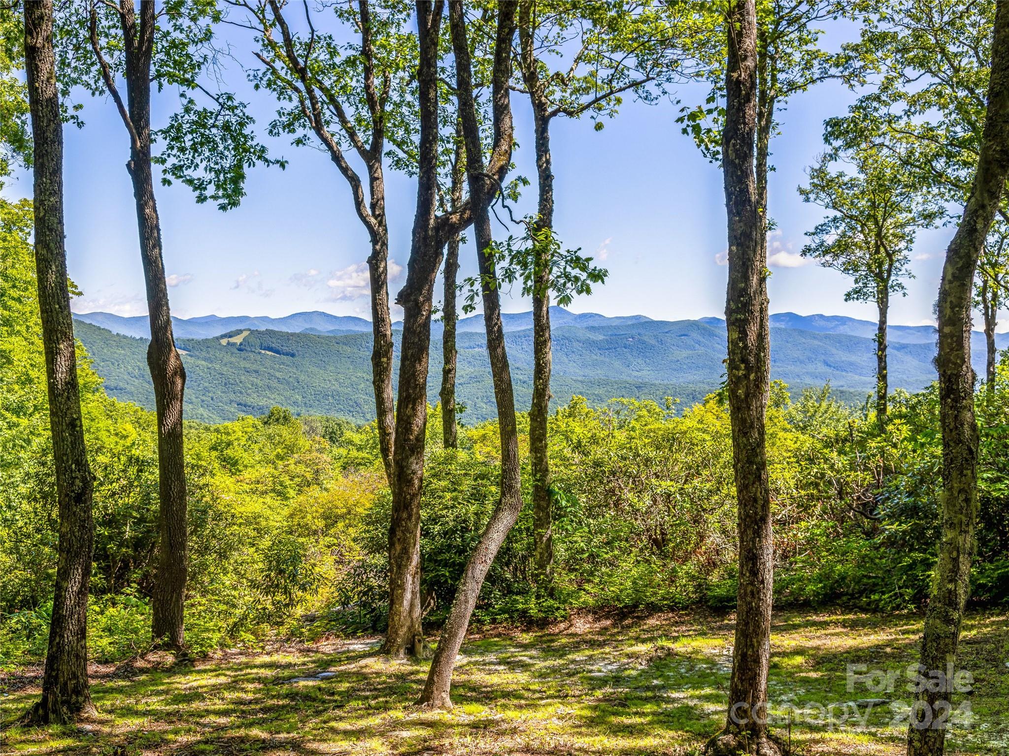 Lake Toxaway Estates - Land