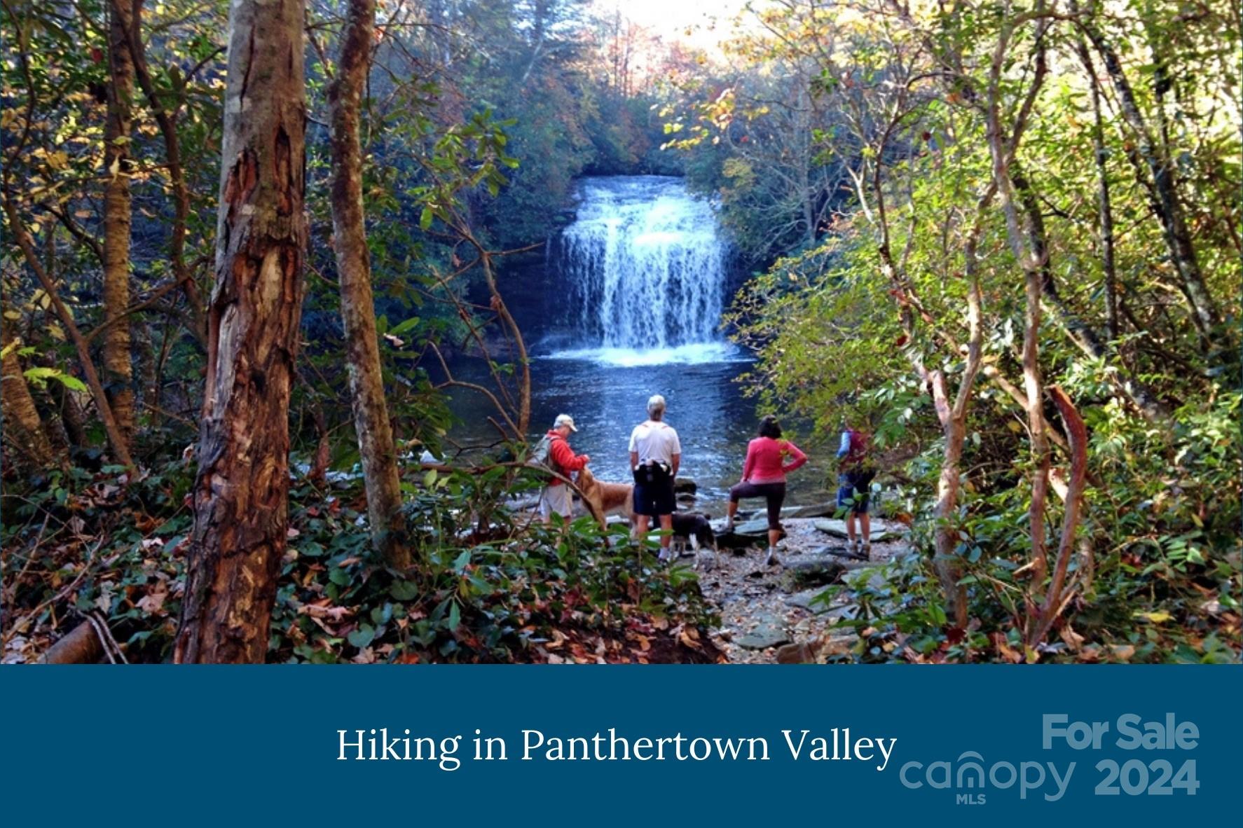 Lake Toxaway Estates - Land