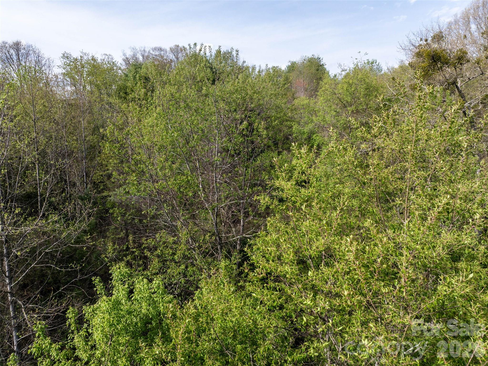 Hyder Mountain Acres - Land