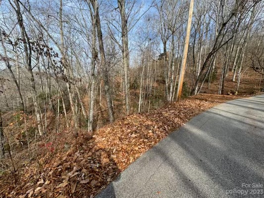 17 FRANKLIN FARM RD, FRANKLIN, NC 28734 - Image 15de16c637b3d59fd07048df17b30d2c/2196377085