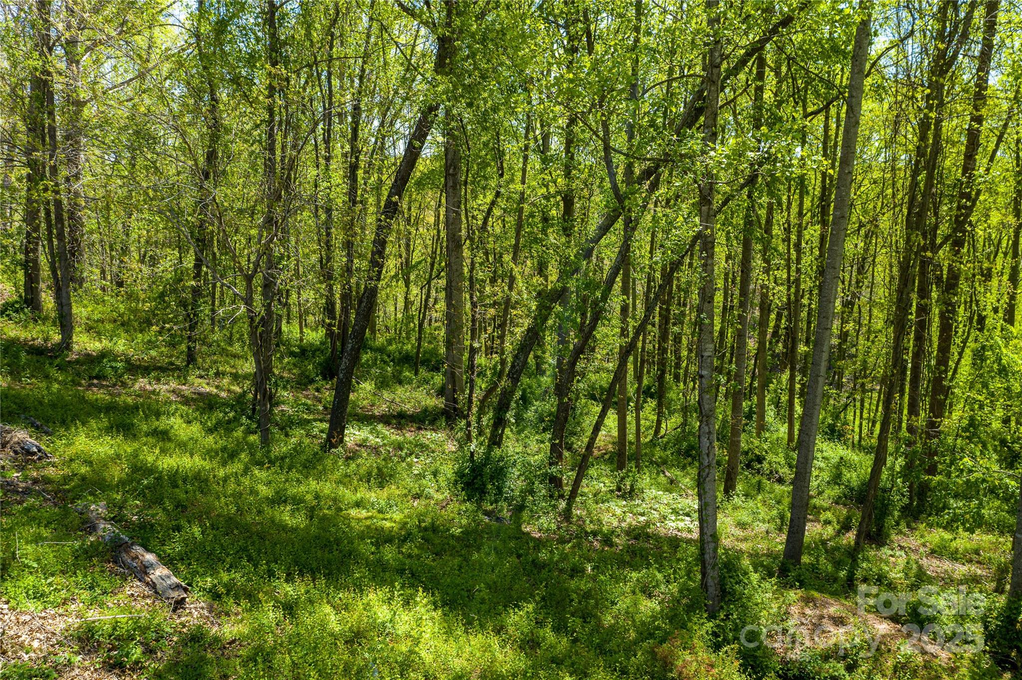 9999 Bee Balm Way 55