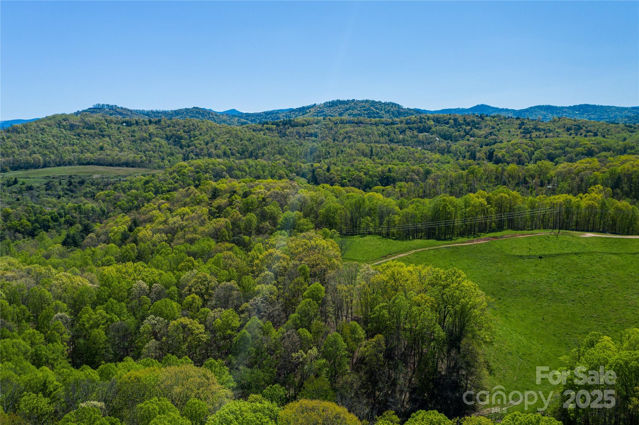 9999 Bee Balm Way 55