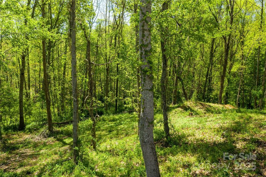 This homesite offers the perfect blend of natural beauty and buildability, with a peaceful forest setting, gentle topography, and desirable southeastern exposure for abundant natural light. Nestled within Olivette Riverside Community and Farm, Asheville’s premier agrihood, the lot provides access to a lifestyle centered around nature, connection, and wellness. Olivette is a 411-acre thoughtfully planned community featuring a working organic farm, community gardens, edible landscaping, and miles of scenic walking and biking trails. A 7-acre riverfront park along the French Broad River includes a pavilion with a stone fireplace, a fire circle amphitheater, picnic areas, and a suspended bridge to a private island with a labyrinth. Residents enjoy farm-to-table living along with outdoor recreation such as kayaking, paddleboarding, and fly fishing, all just minutes from downtown Asheville.