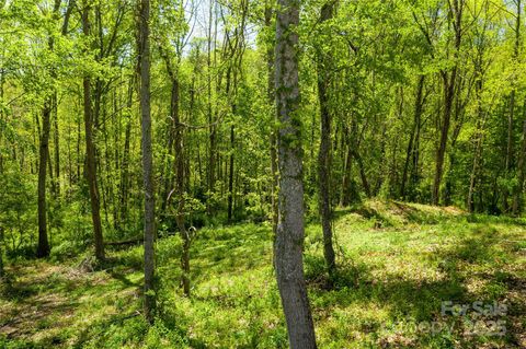 Photo of 9999 Bee Balm Way #55, Asheville, NC 28804 (MLS # 4303065)