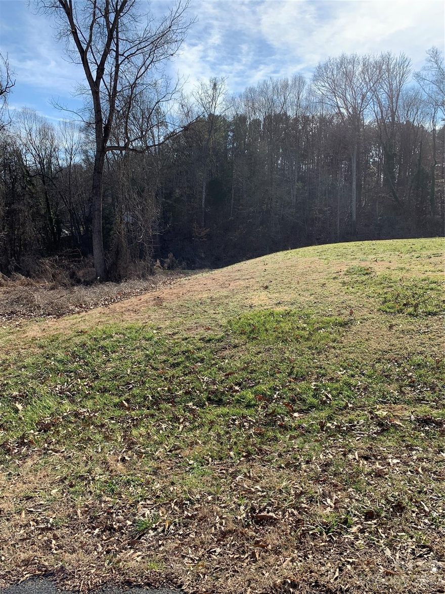 Own a small piece of Belmont!  This lot is located in the Paradise Point neighborhood, which is nestled on the shores of Lake Wylie.  This plot is not waterfront.   Buyer is responsible for verifying any desired use.  Seller is executor of the estate.
