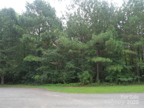 Photo of 1832 Jaya Drive, Sherrills Ford, NC 28673 (MLS # 4293727)