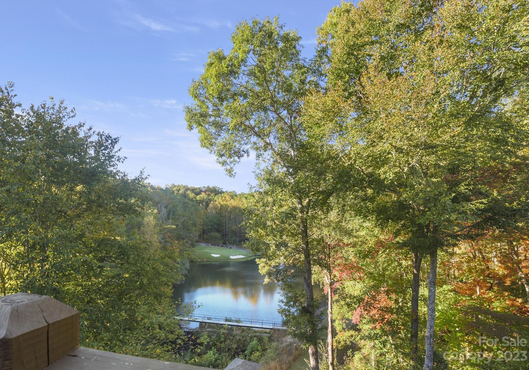 Rumbling Bald on Lake Lure - Residential