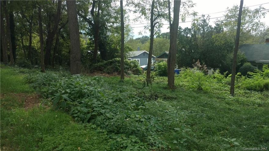 Beautiful, corner lot in West Asheville, walking distance to all Haywood Rd. hot spots . This level lot would accommodate a multitude of home plans.  Easy access to I-240 & I-40, Hominy Creek Greenway, and Carrier Park.