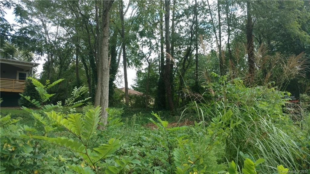 West Asheville - Land