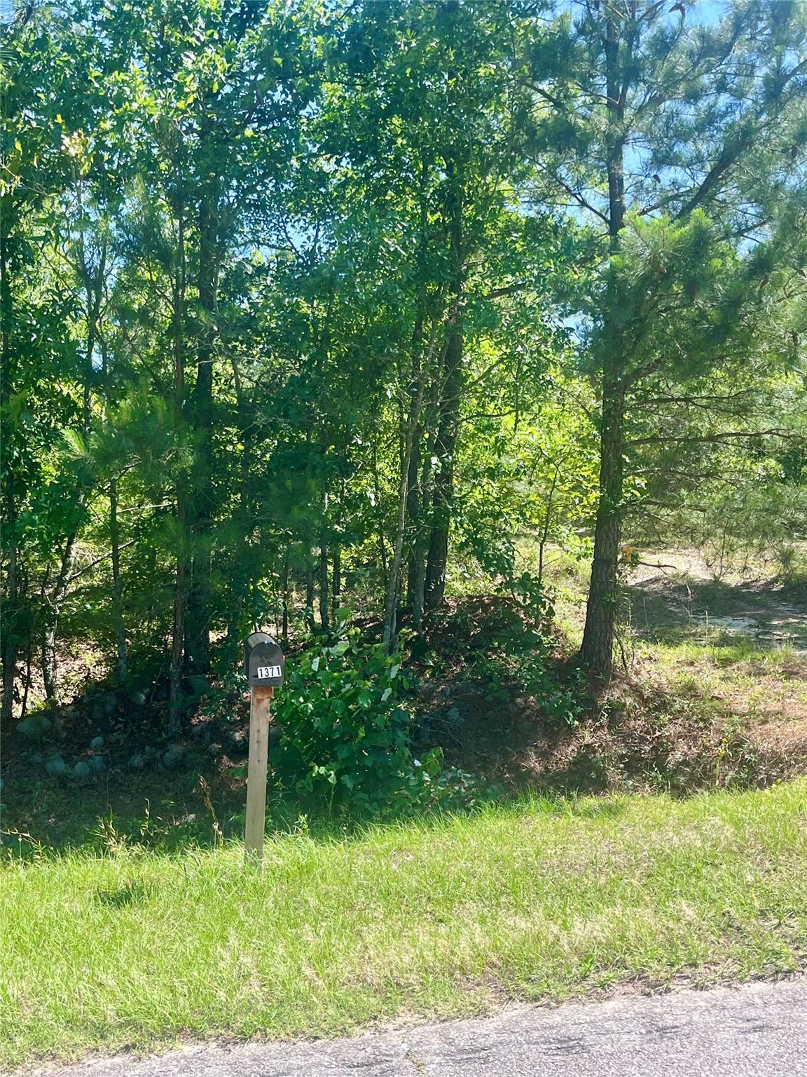 1371 Jones Road
