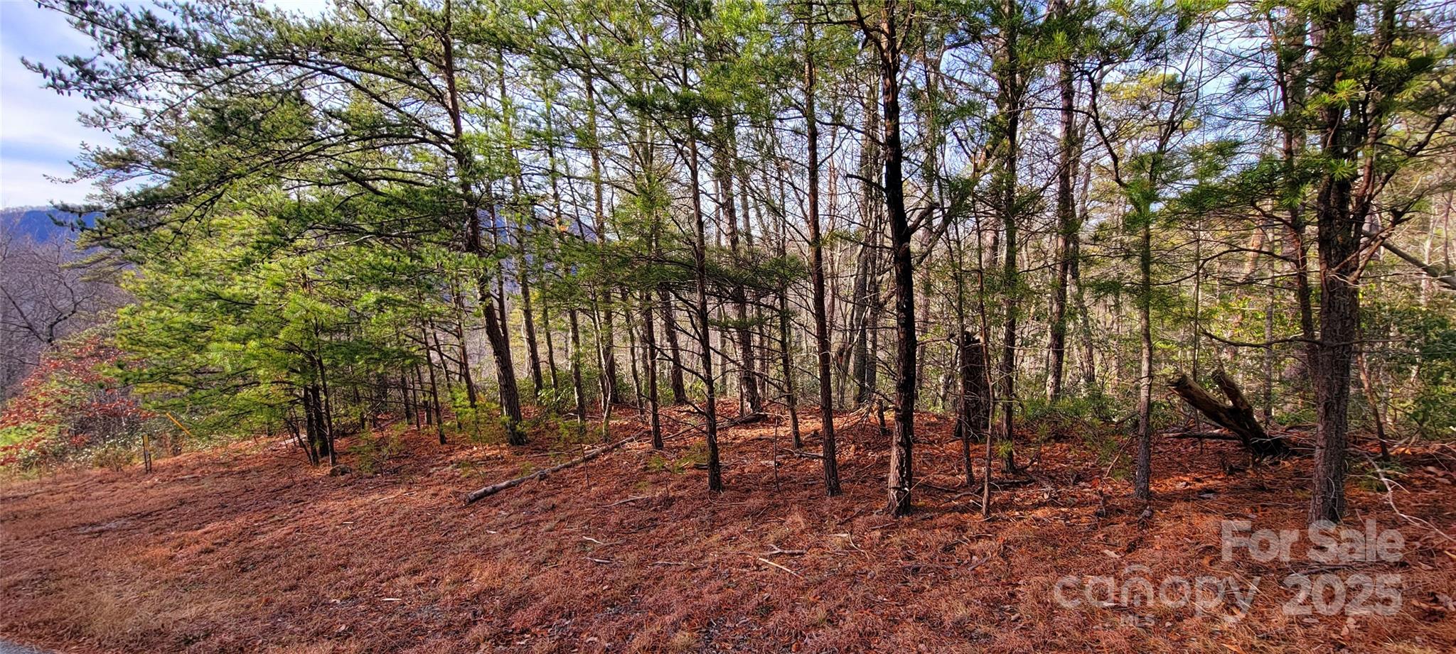 V/L Chickasaw Way 2B