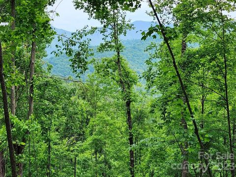 000 Sharp Top Road Burnsville NC 28714