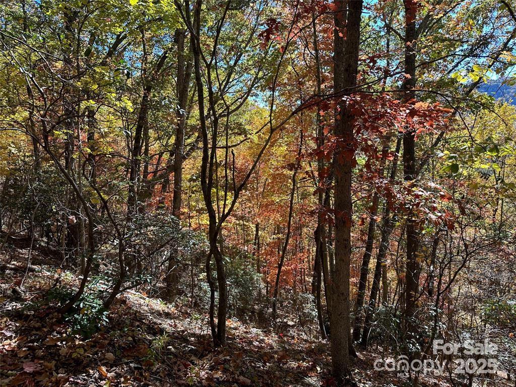 Hidden Valley - Land