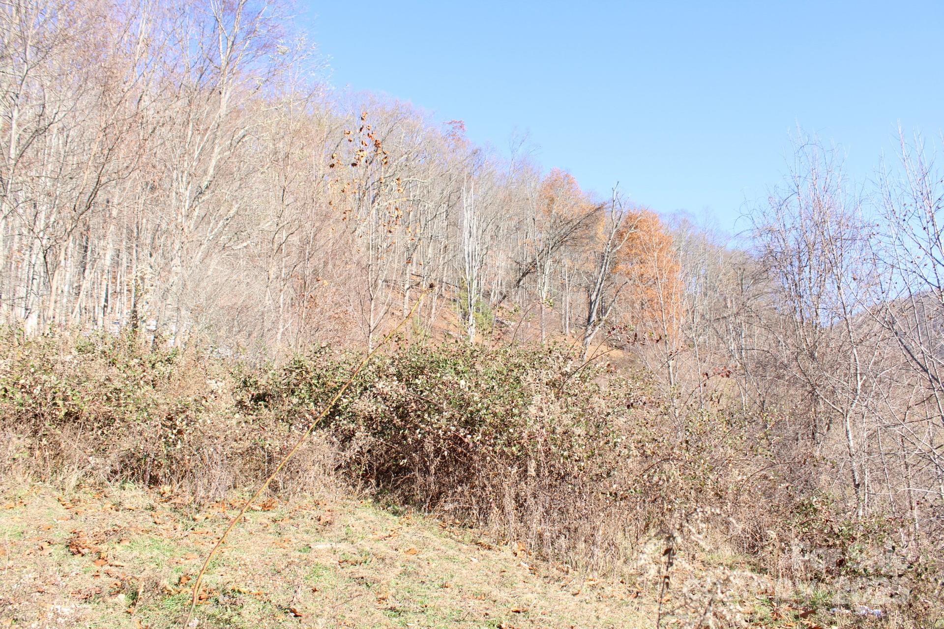 Hidden Valley - Land