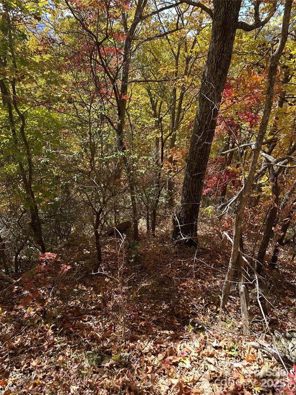 Hidden Valley - Land