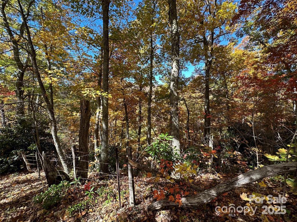 Hidden Valley - Land