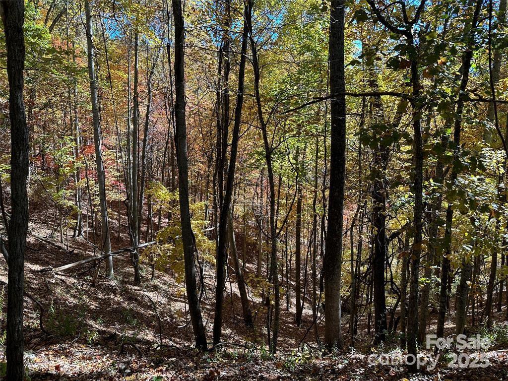 Hidden Valley - Land