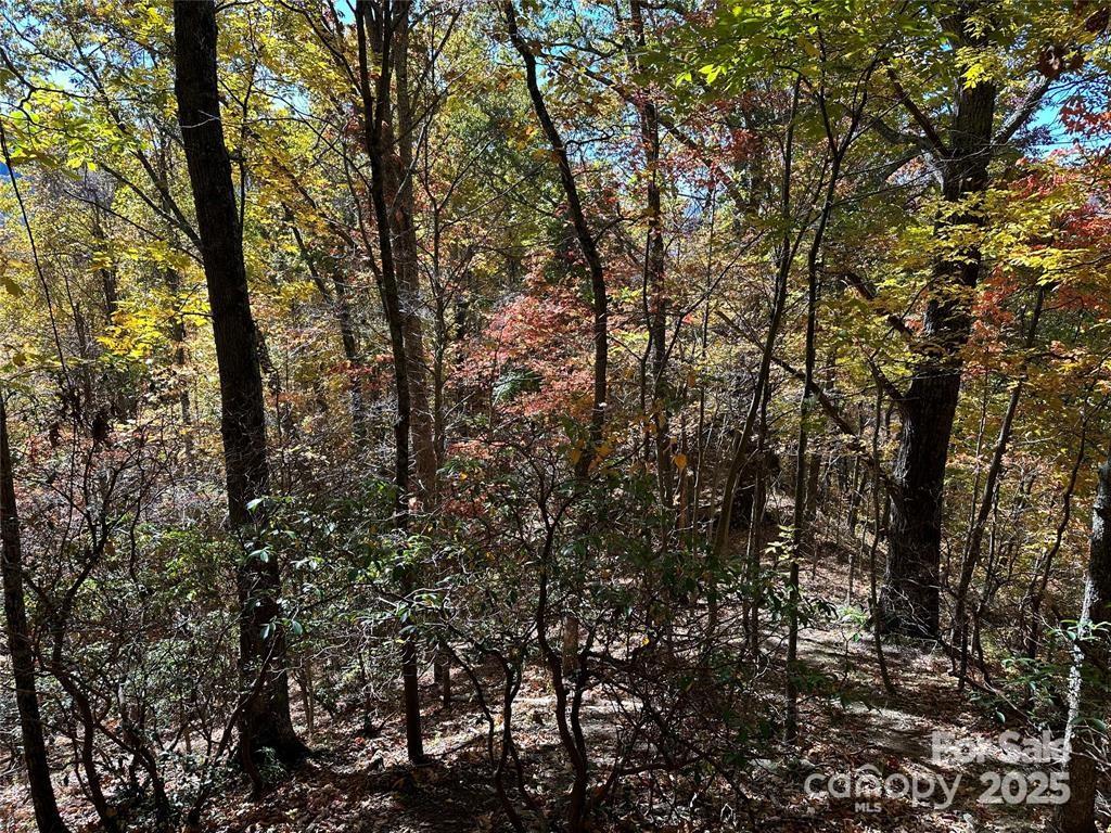 Hidden Valley - Land