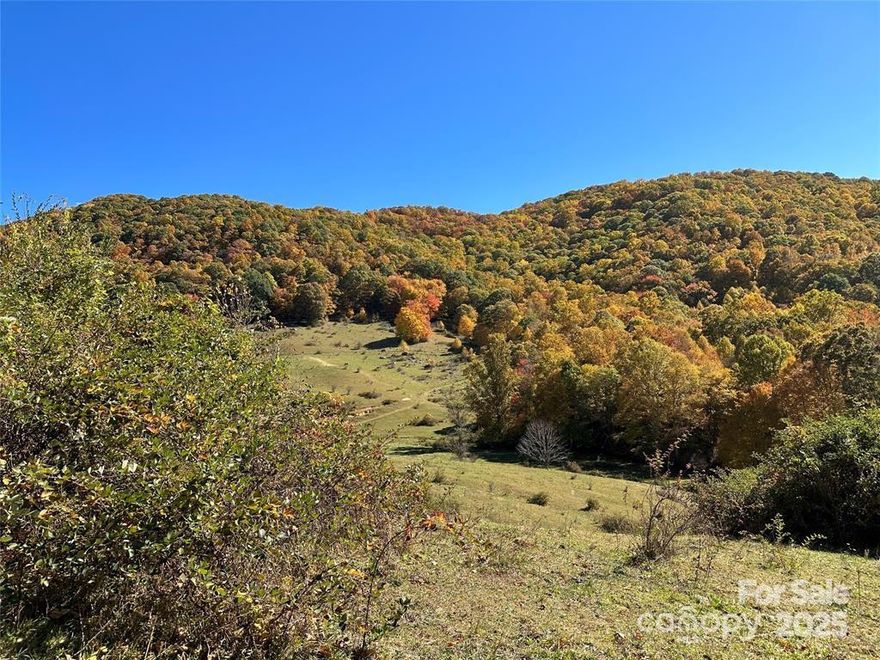 This beautiful 7+ acre property has great year-round views and southern exposure. It is prime development land in the sought out Crabtree area of Haywood County and Hidden Valley. This property borders the Southern Appalachian Highlands Conservancy property on the eastern boundary, which will remain in it's natural state. The lot has an approved 4 bedroom septic permit on file with the county. There are several build spots whether you want to be at the top of the ridge or closer to the road. The property consists of four separate lots which  have been combined. It includes a natural spring as a backup water source, access from a paved road (with an annual voluntary minimal  cost of $200 to maintain), easy access to electric, and deeded access to a nearby stocked pond. The area is rural and agricultural but it's only 15 minutes to I-40. There is no HOA or any restrictions. The majority of the lot is fenced. This can easily be your private peaceful estate.