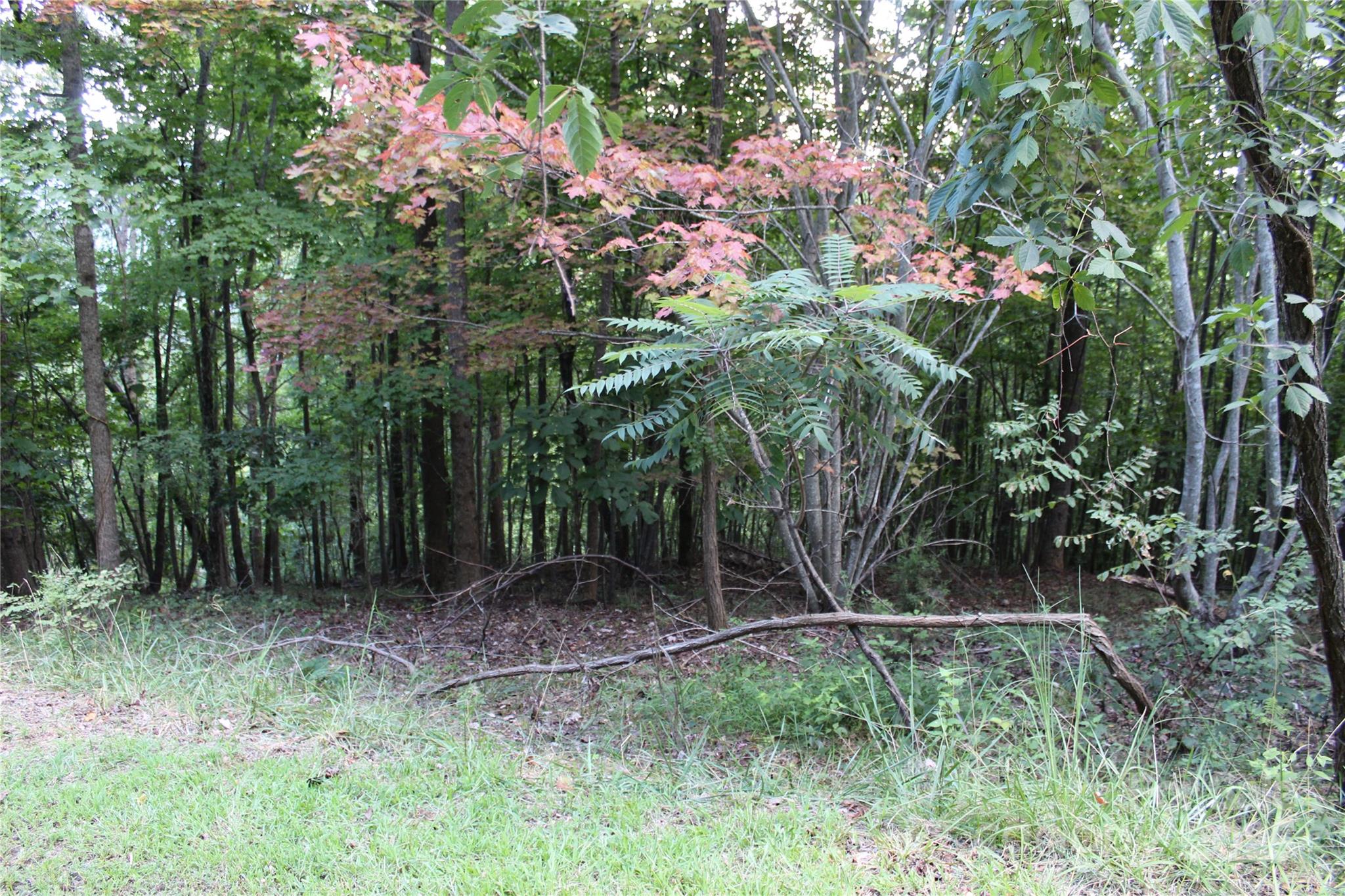 0 Azule Ridge Drive
