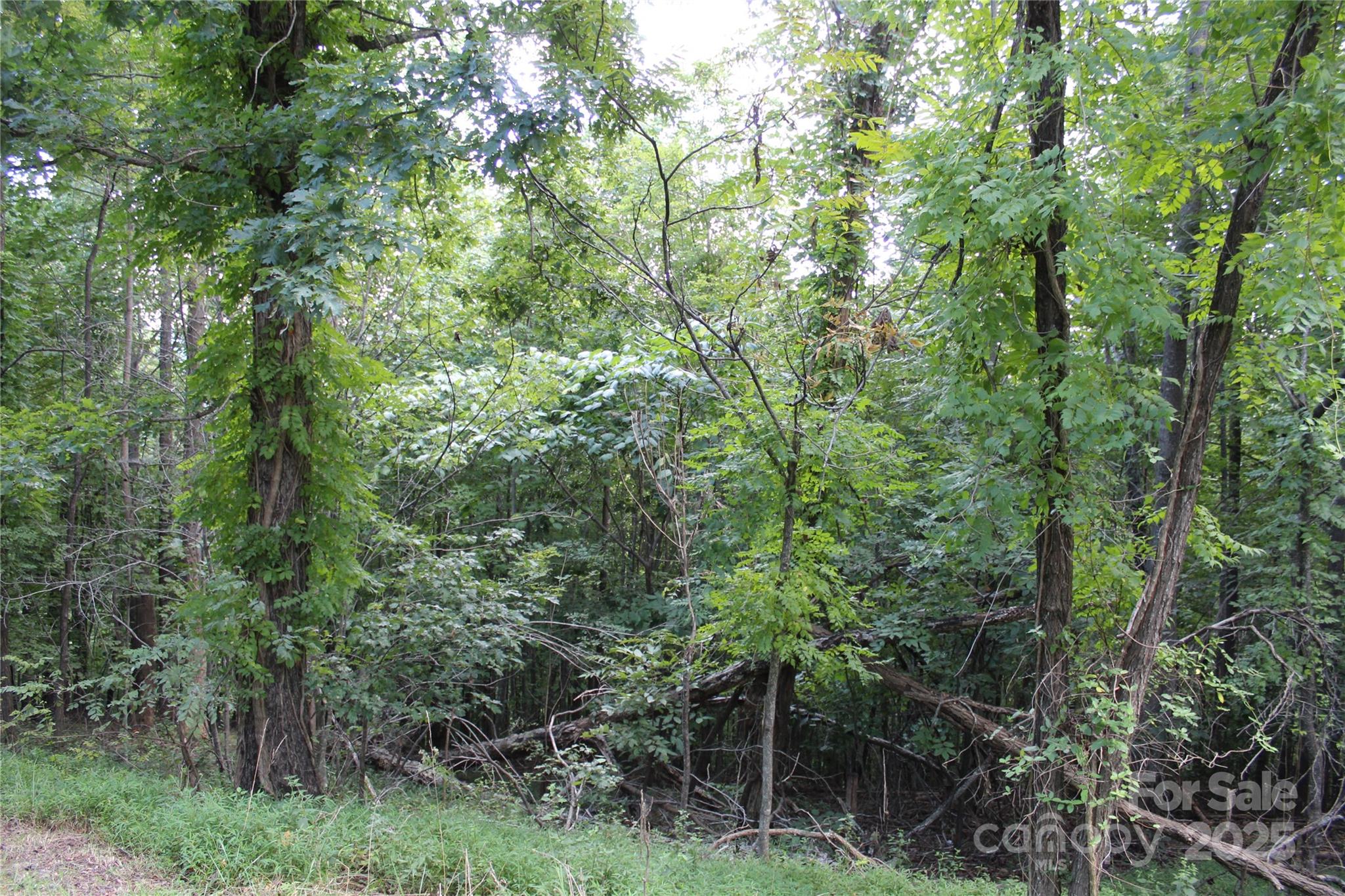 South Mountain Peaks - Land