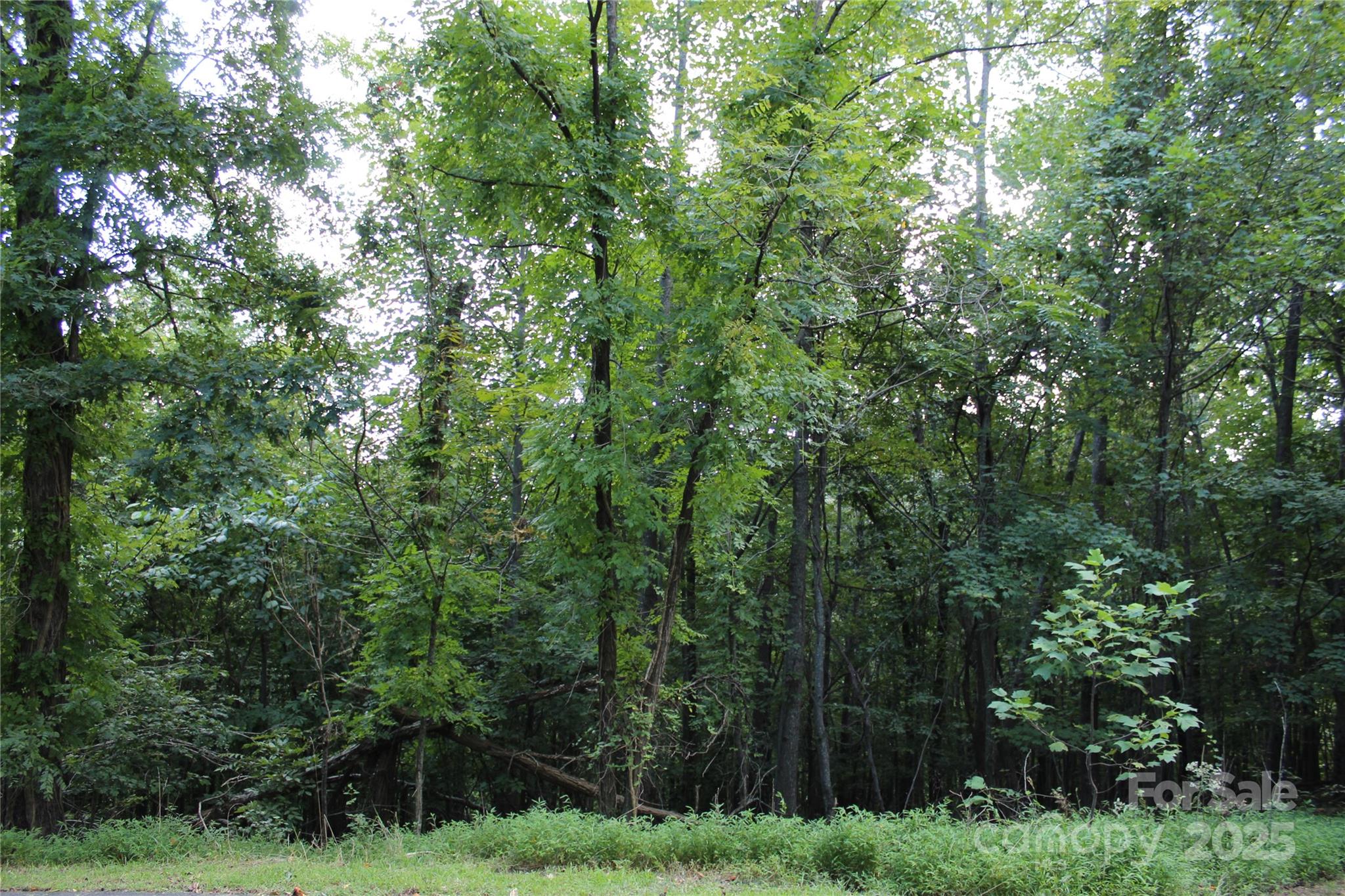 South Mountain Peaks - Land