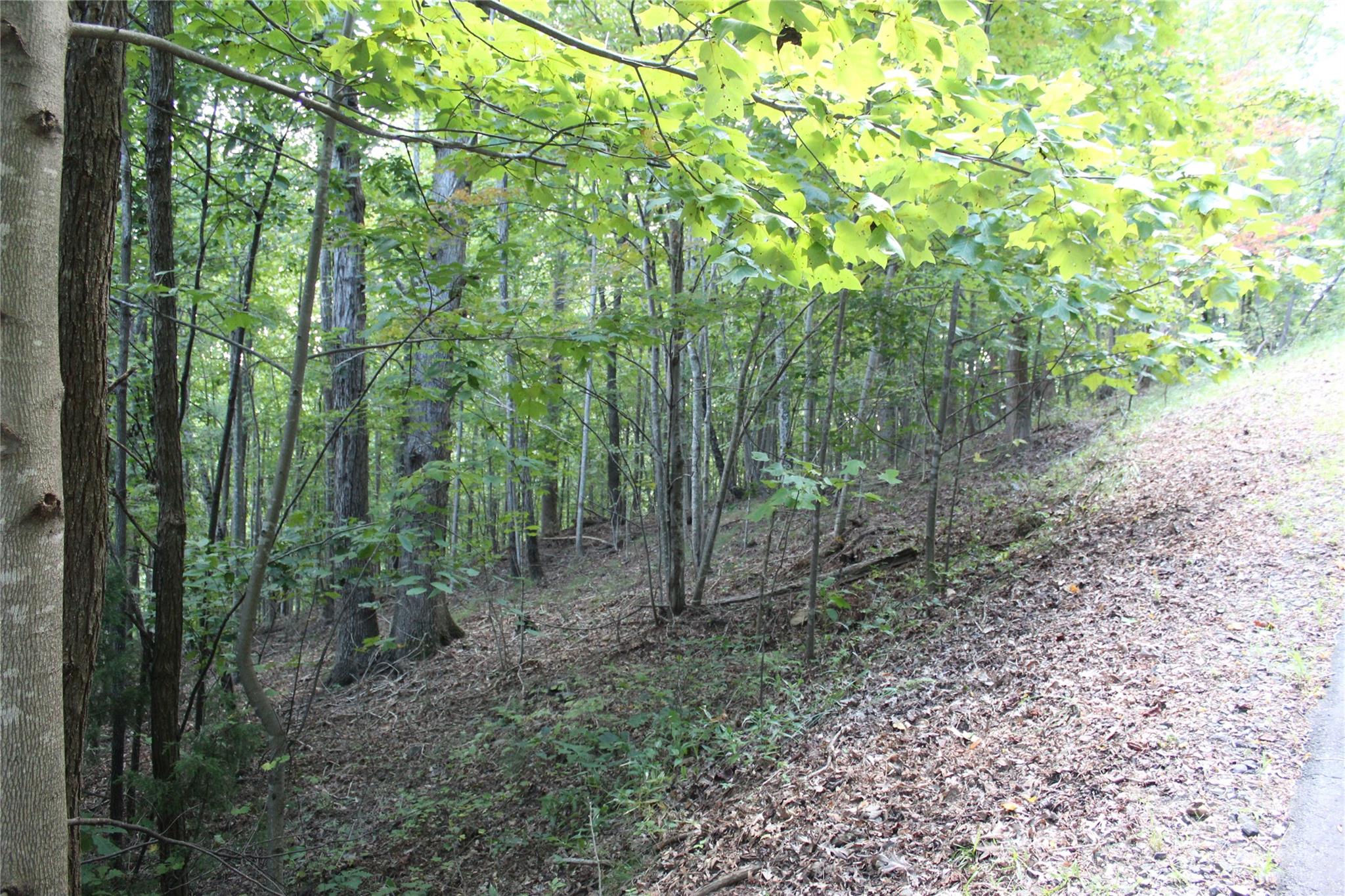 South Mountain Peaks - Land