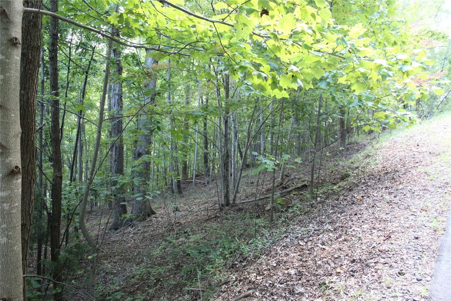 Welcome to South Mountain Peaks! This 4.02 acre lot is ready for you to build your dream home on or your mountain getaway home! 
Get ready to do a little clearing and the views will be amazing!
South Mountain Peaks is a subdivision located in Golden Valley, NC about half way between Asheville and Charlotte. Short drive to Yogi Bear Jellystone Park.
