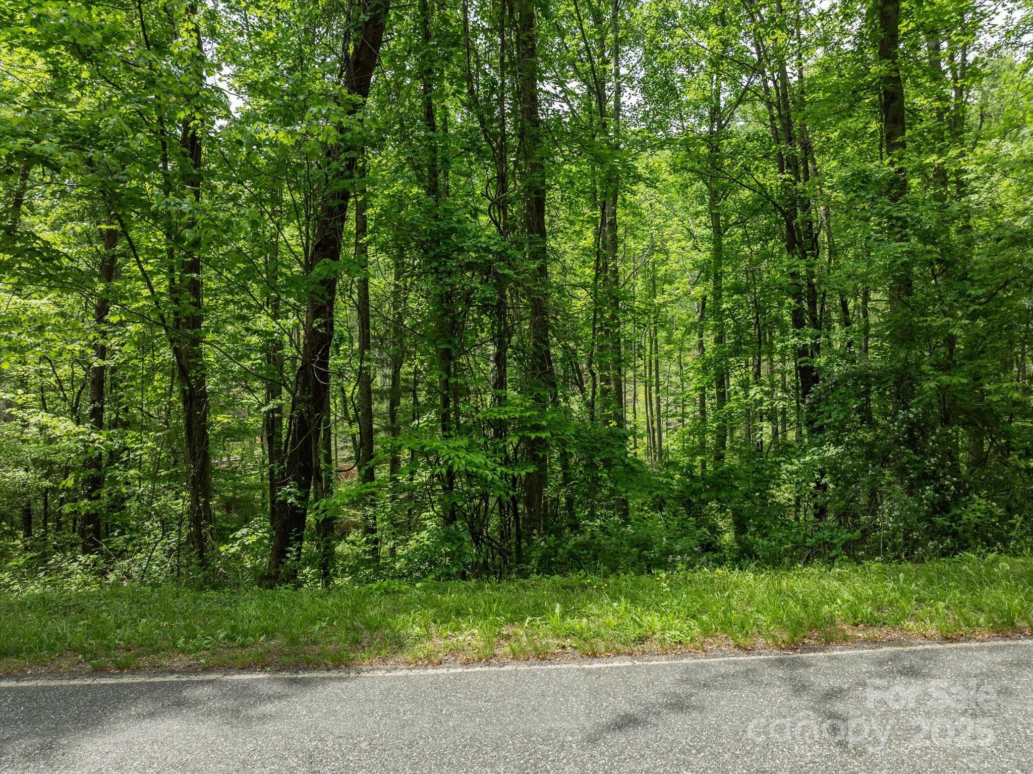 99999 Moody Cove Road 2