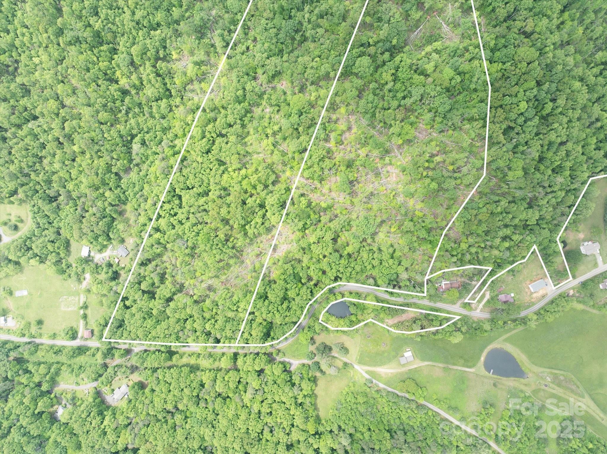 99999 Moody Cove Road 2