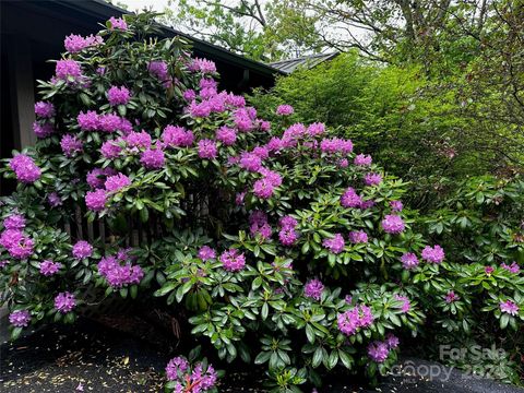 A home in Montreat