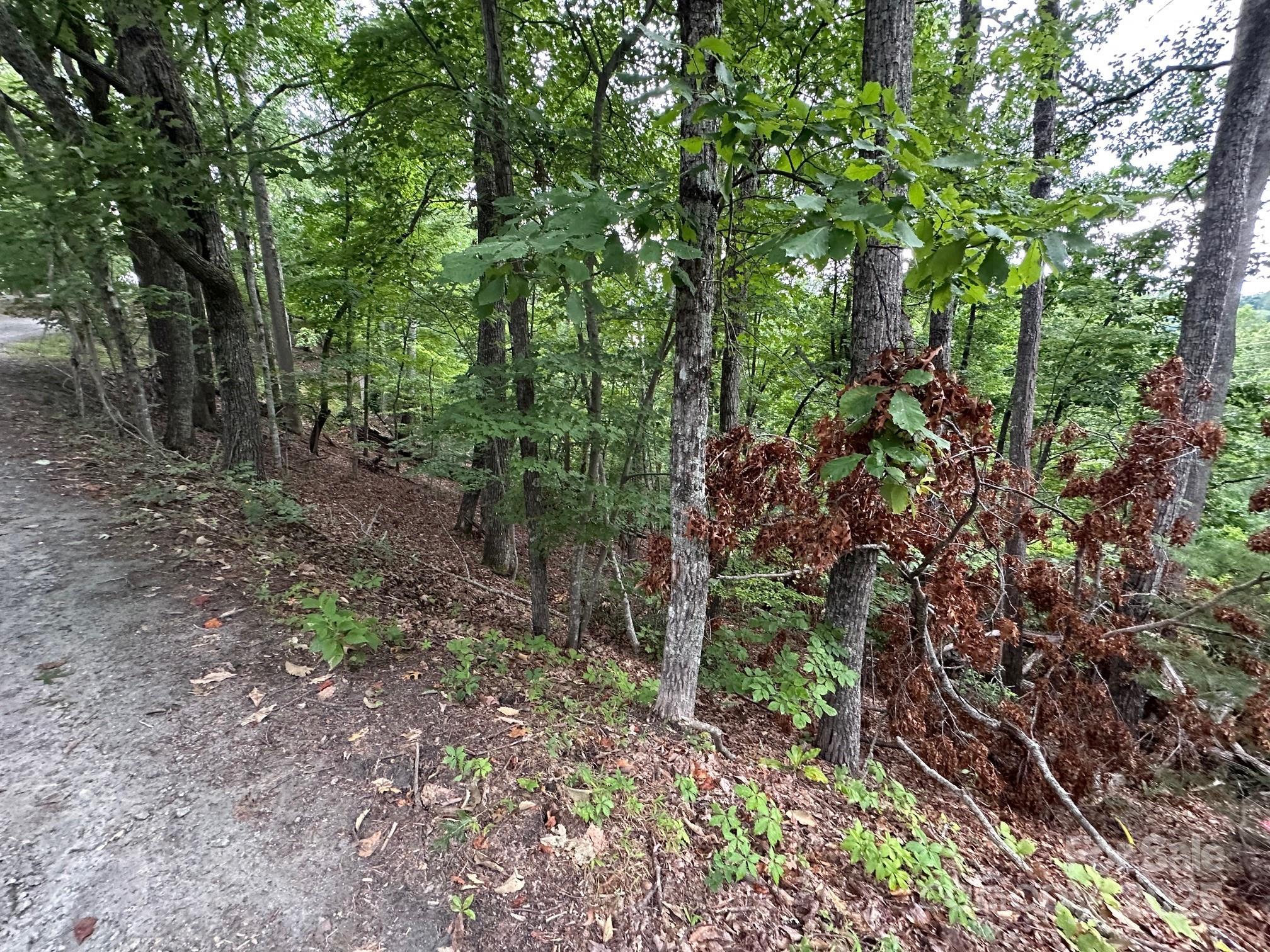 0 Buzzards Place 186