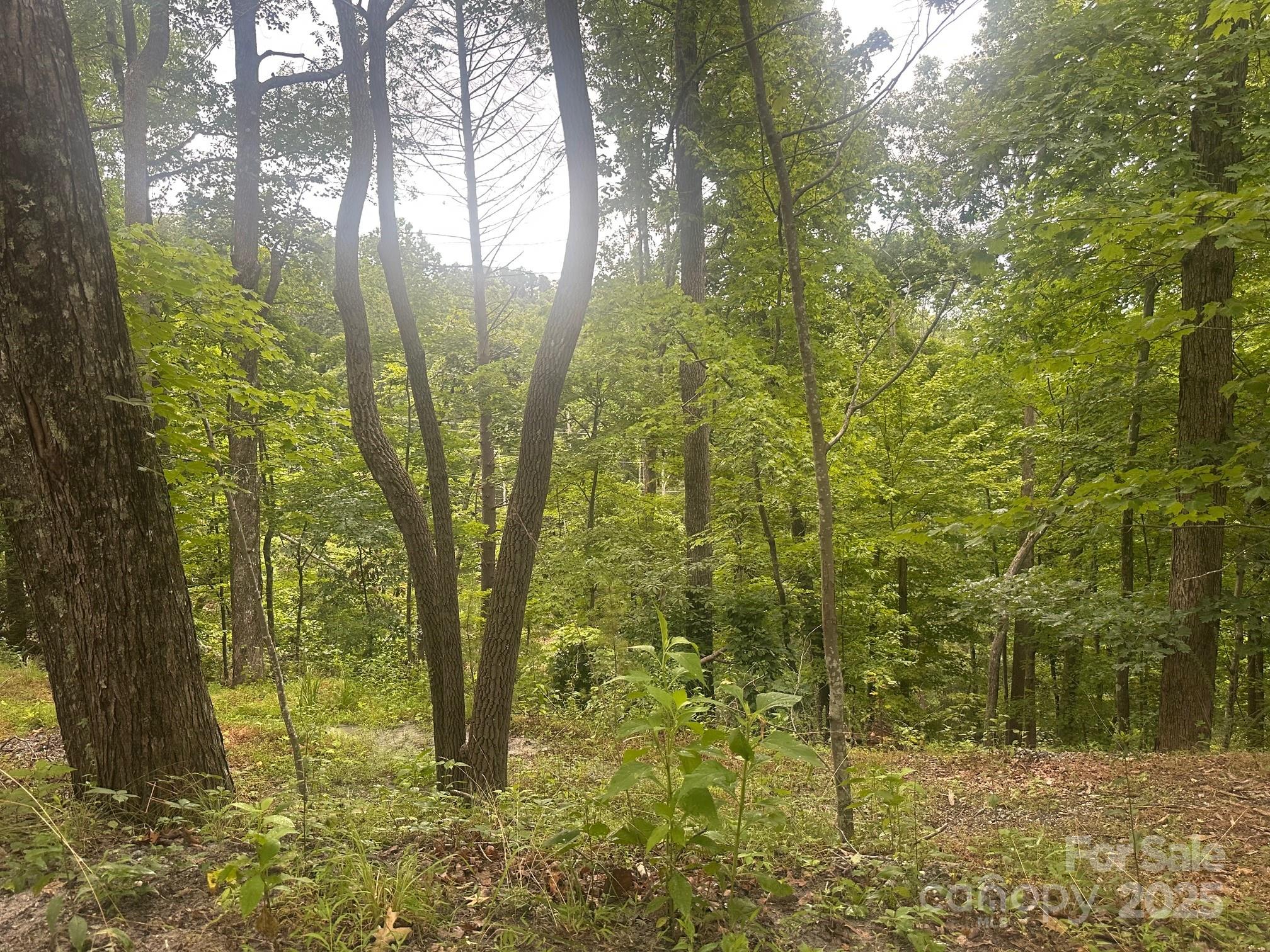 0 Buzzards Place 186