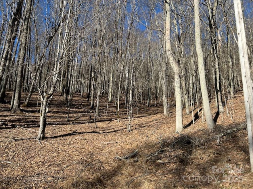 Wolf Laurel Resort, a private gated community with all the mountain activities one can dream of. Located close to the country club, golf course and ski slopes. This lot is nestled in the woods with mountain views and longer range views in the winter.  Enjoy a diverse range of activities from horseback riding, swimming, tennis, fishing, hiking and golf.  Come winter hit the slopes and warm up by the fire with a hot cocoa and friendly folks all around in the newly owned & rebranded, Hatley Pointe, a boutique mountain resort formerly known as Wolf Ridge Ski Resort.  Experience new dining & amenities in the newly constructed lodge with slope improvements. Make memories with your family or invest in this great opportunity!