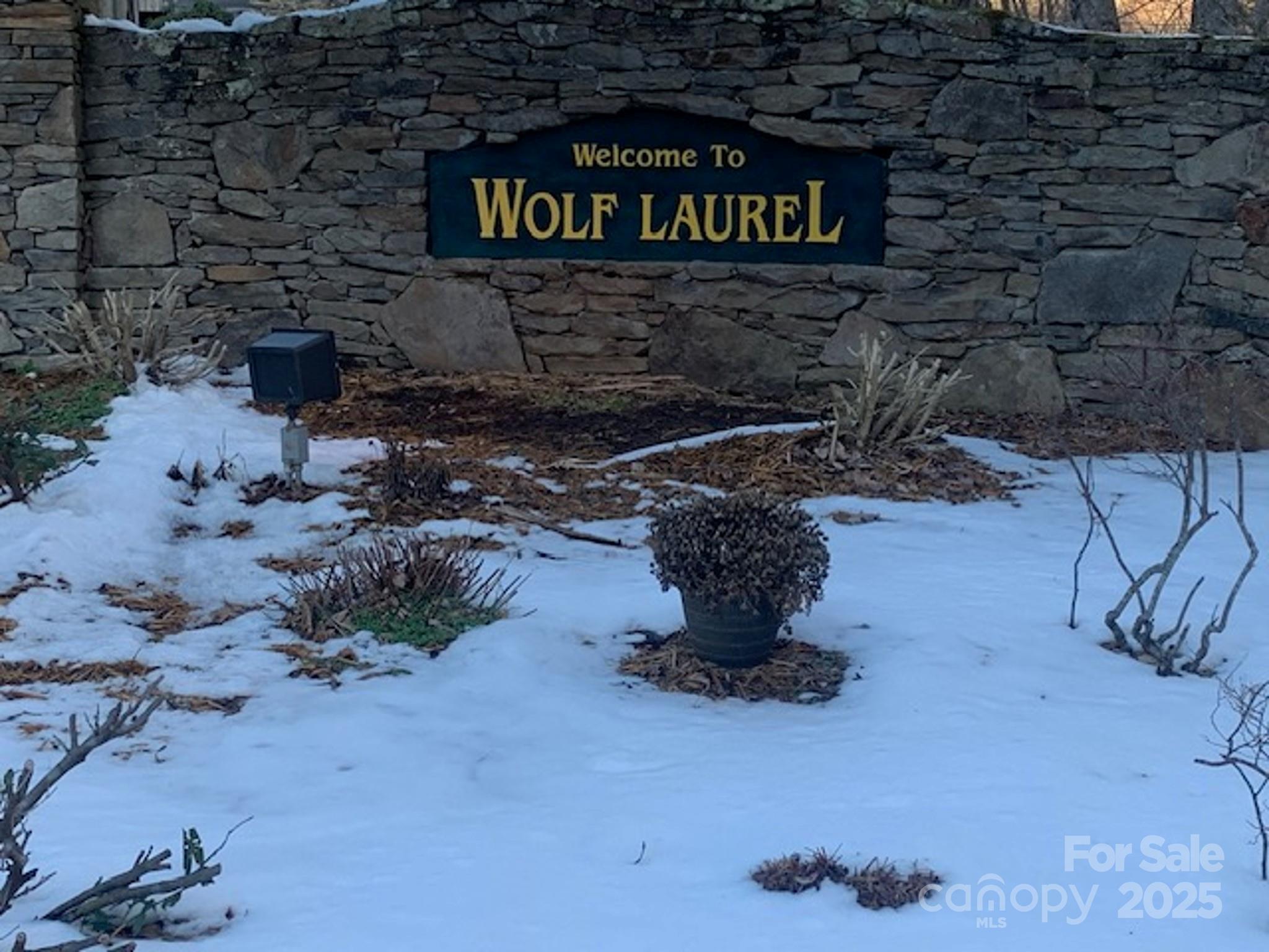 Wolf Laurel - Land