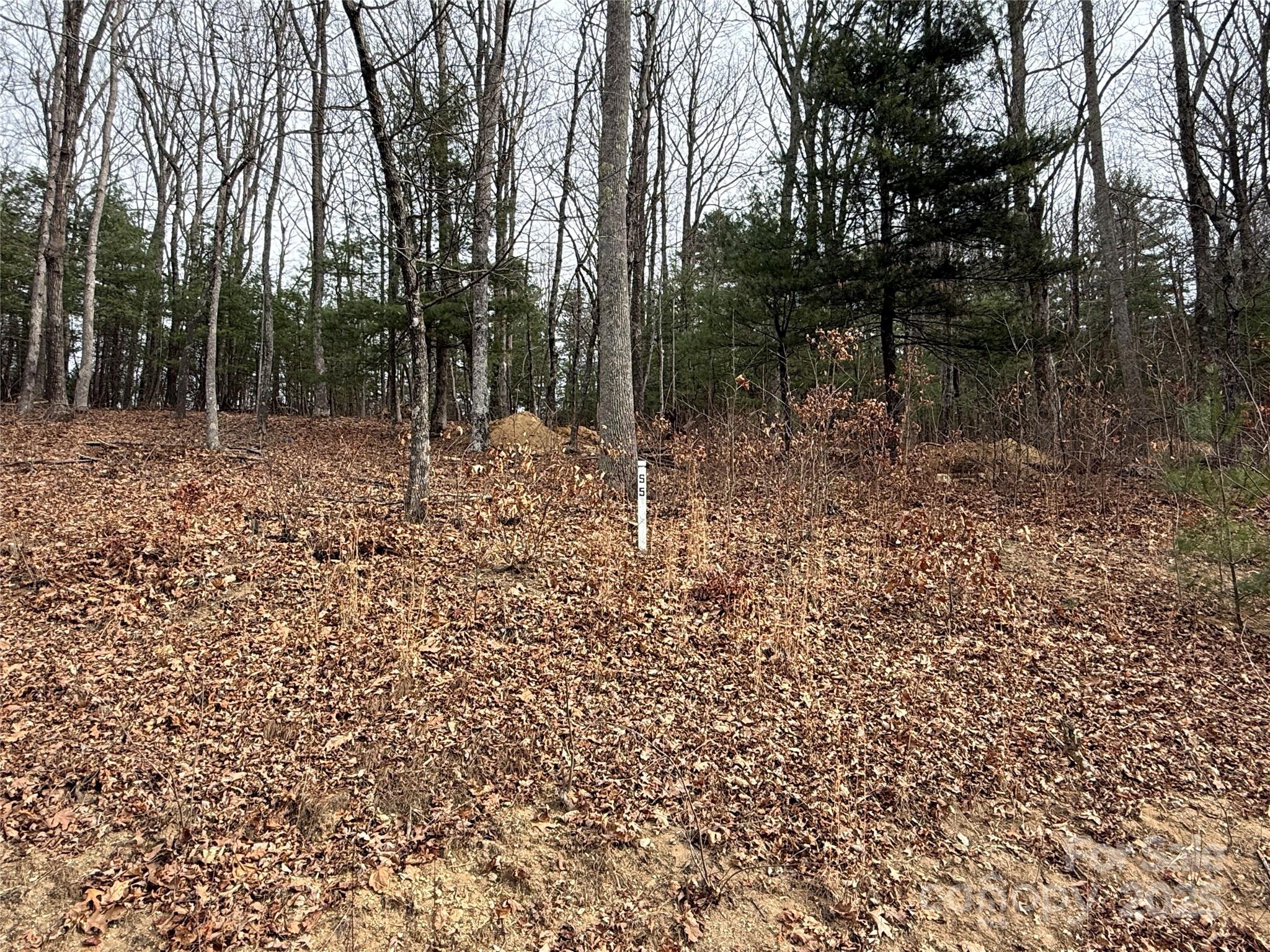 S - 5 Hollybrook Drive 5