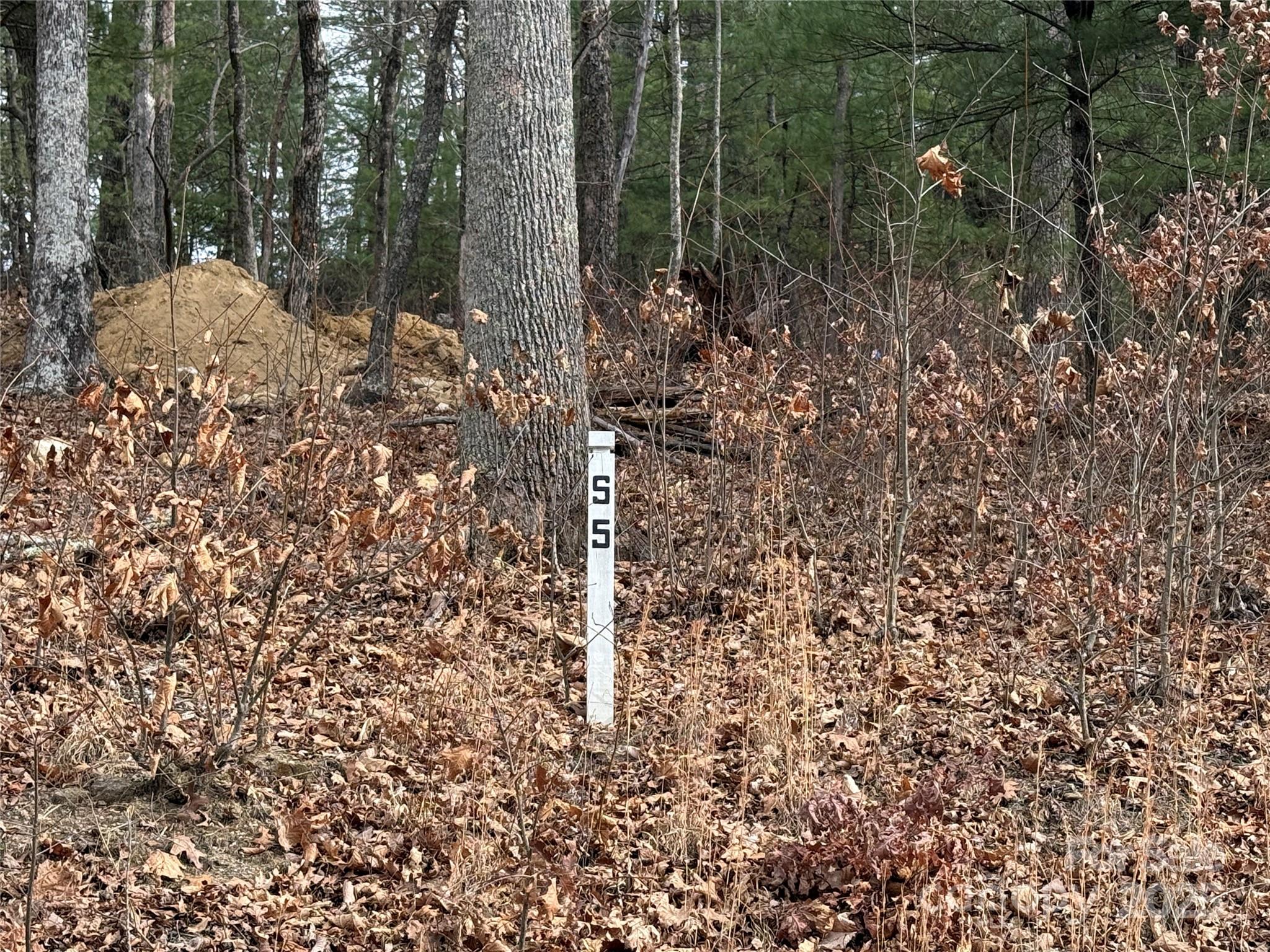 S - 5 Hollybrook Drive 5