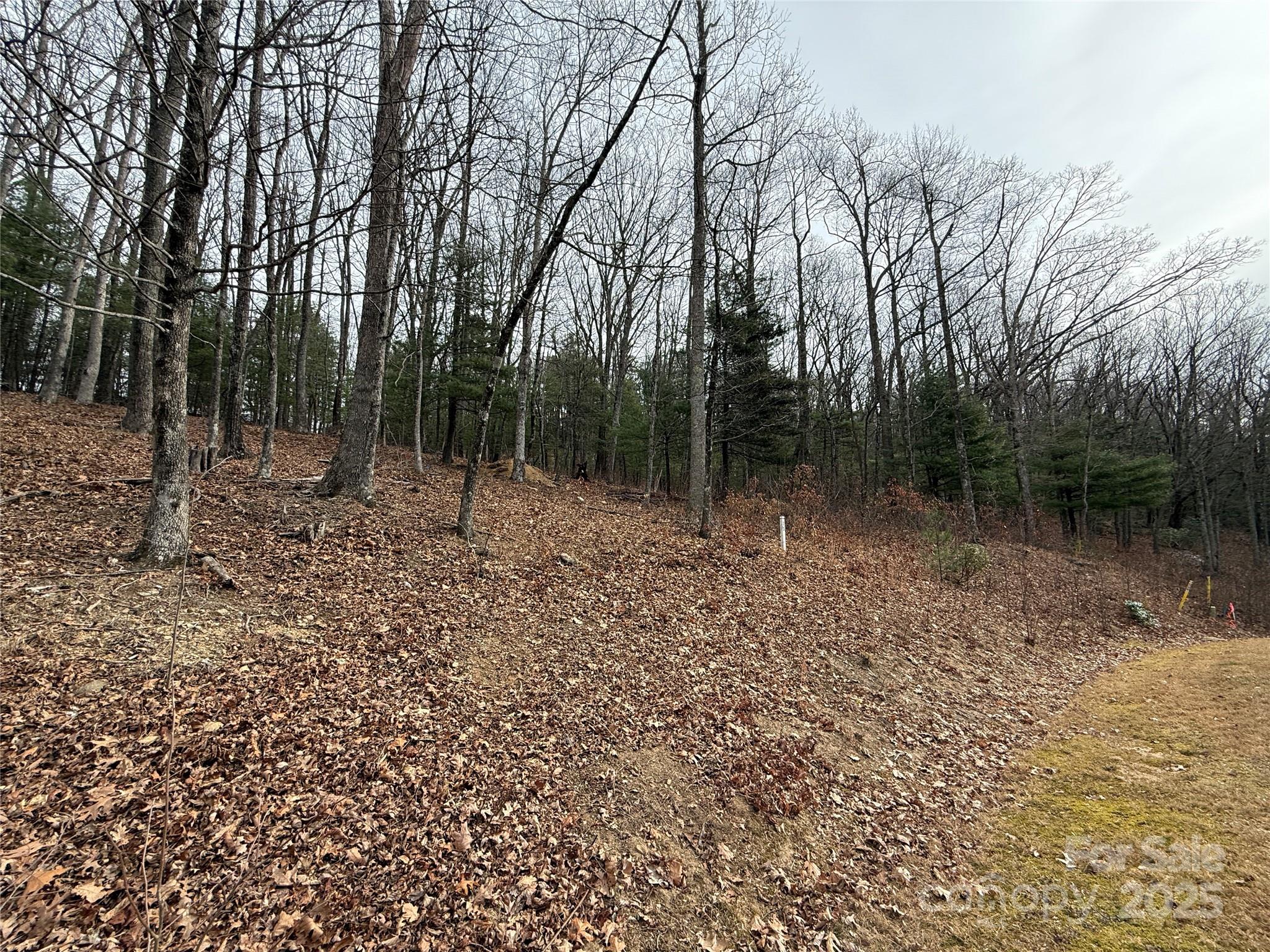 S - 5 Hollybrook Drive 5