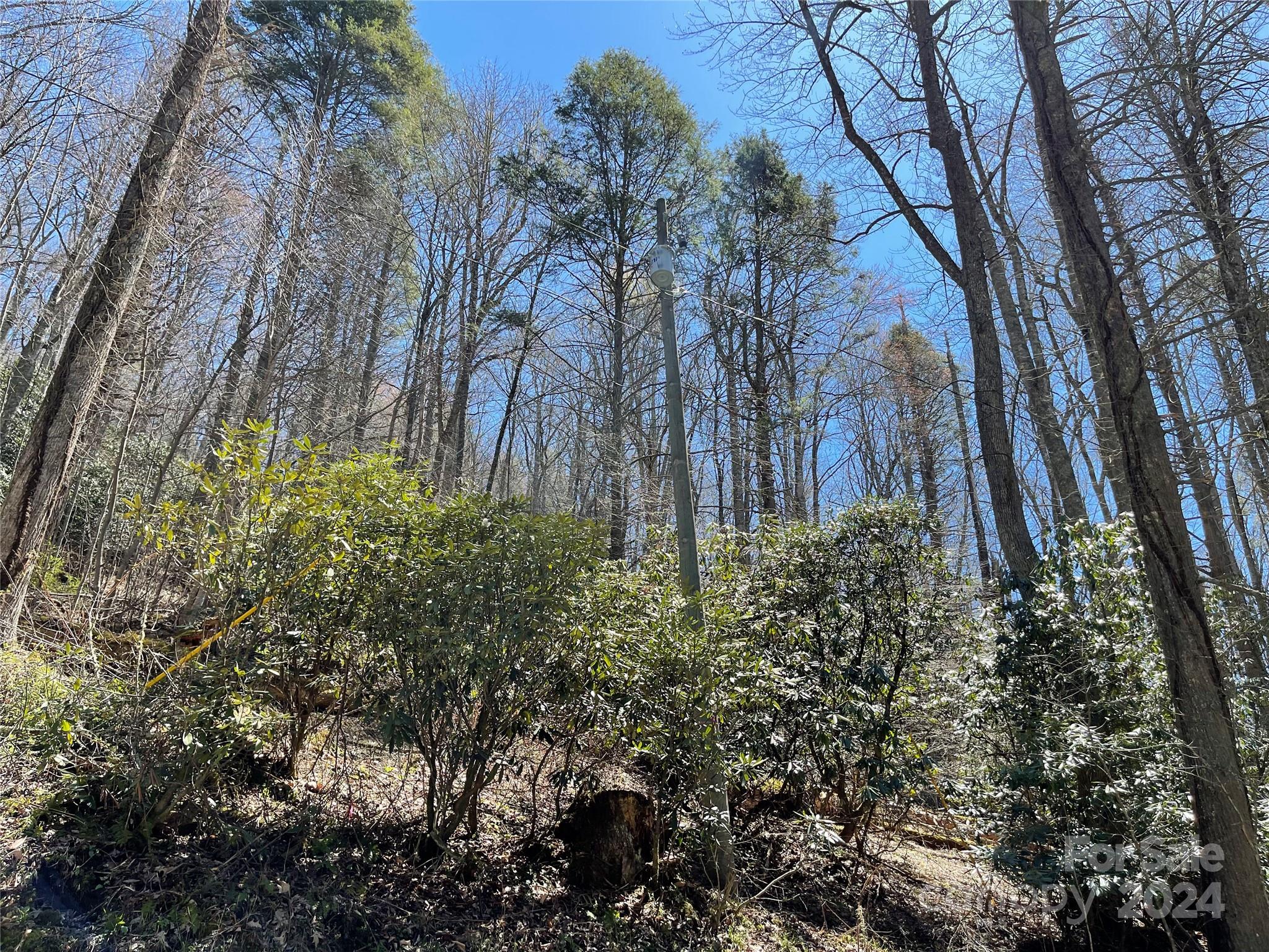 1 Rubin Walker Road 1