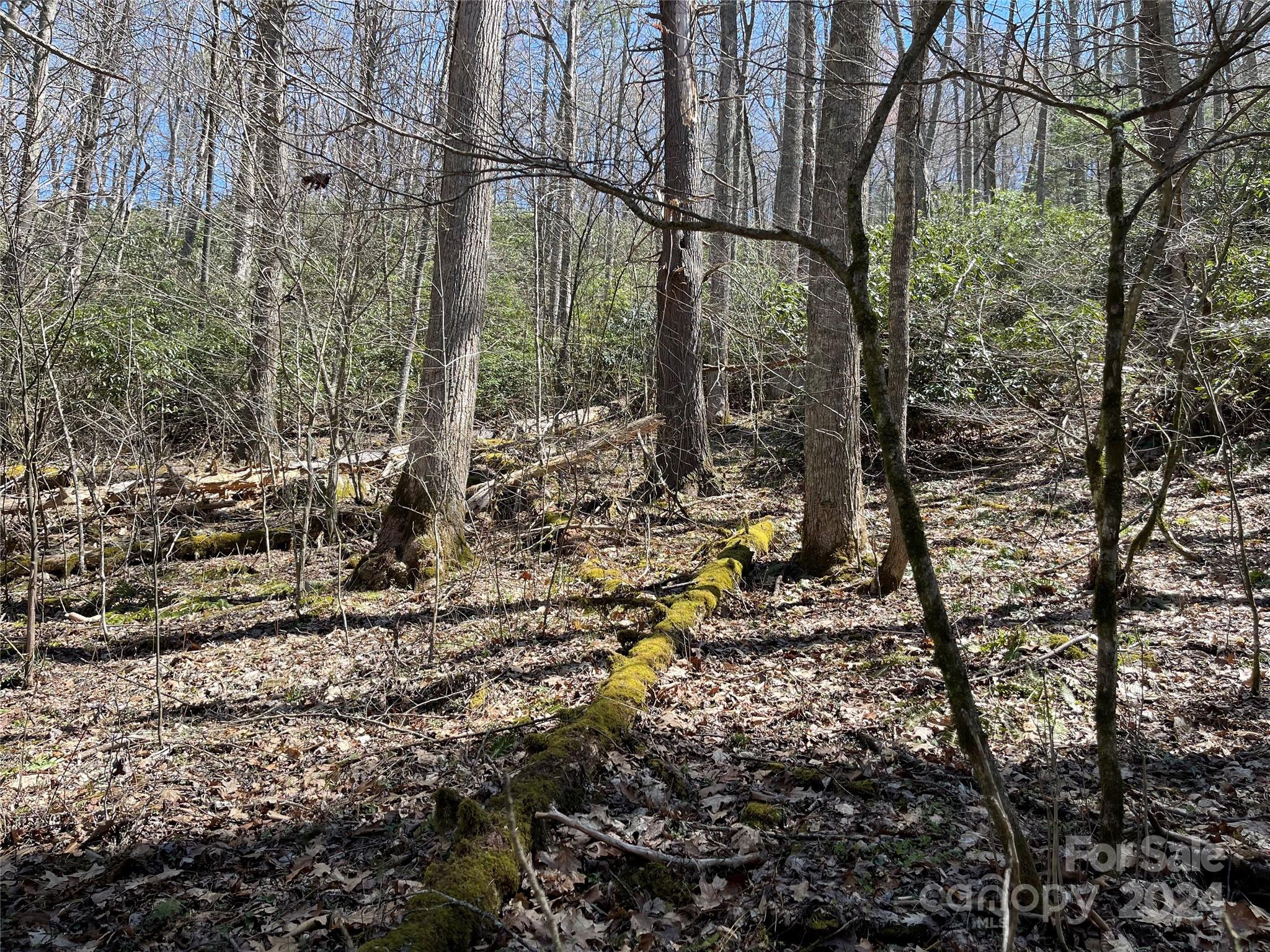 1 Rubin Walker Road 1