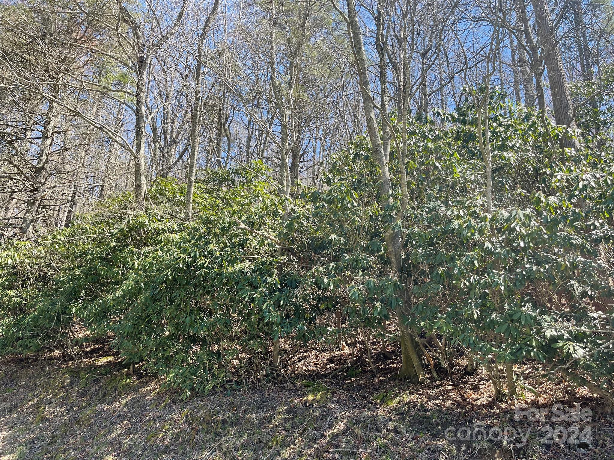 1 Rubin Walker Road 1